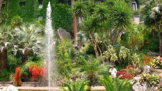 From Naples: Hydrofoil+Transfer to the picturesque Forio