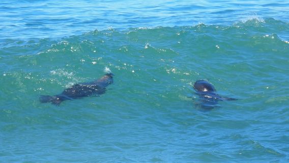Guayaquil: giornata personalizzata alla scoperta della costa e in spiaggia