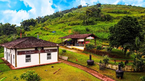 Tur Jeep Hutan Air Terjun dan penyulingan Cachaça
