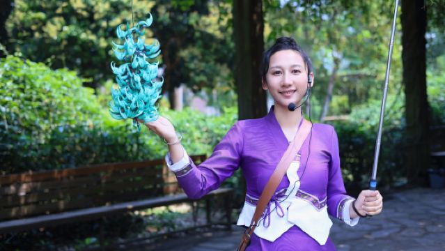 中科院西雙版納熱帶植物園半日遊【3H導遊導覽+植物科普】