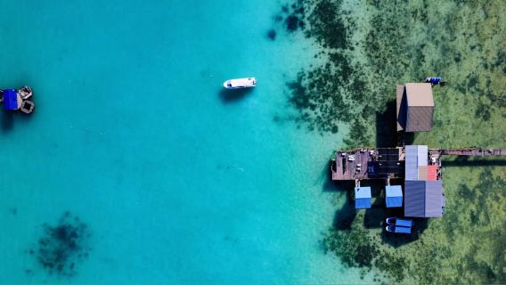 มาเลเซียเซมปอร์นา Bigfin Divers ใบรับรองการดำน้ำ ใบรับรอง Scuba OW 1 วัน