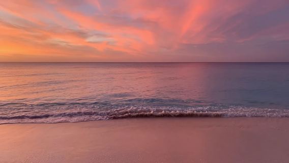 拿騷：Ship Channel Cay 島網紅游泳豬1日遊