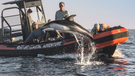 Newport Beach: Ultimate Whale Watching Adventure