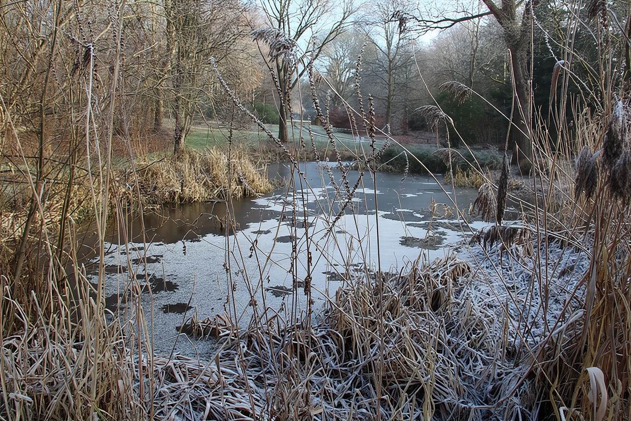 Salta la fila: biglietto d'ingresso al Giardino Botanico