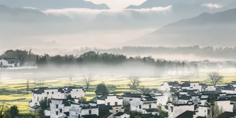 安徽宏村故里景區+西遞古村落純玩跟團1日遊