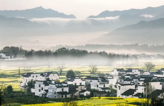 安徽宏村故里景區+西遞古村落純玩跟團1日遊
