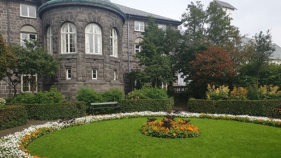 Tour privato a piedi di 2 ore a Reykjavik