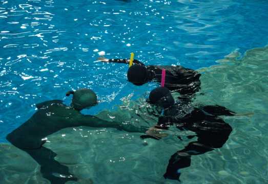 2-Hour Freediving Experience in Daejeon, Korea - MyWay One-Day Freediving Adventure