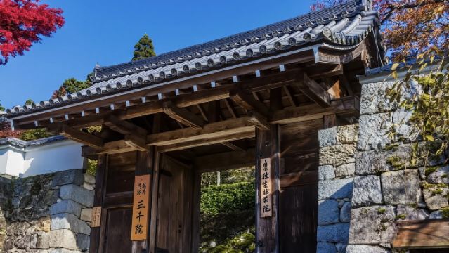 日本京都金閣寺-京都御苑-二年坂三年坂-中文專車 舒適純淨