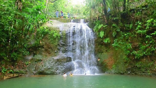 Lawatan Alam Semula Jadi dan Air Terjun Suva Persendirian