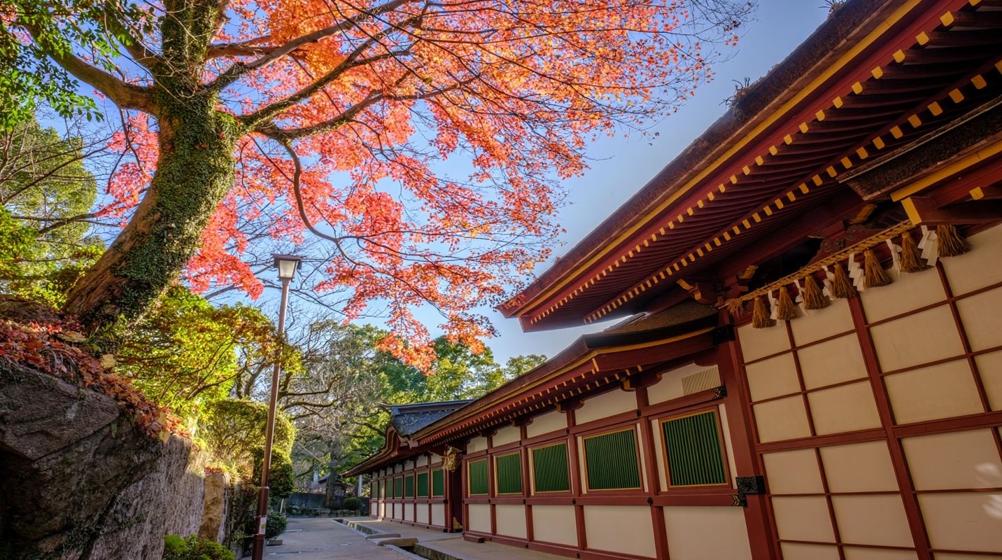 Tour di un giorno al Santuario Dazaifu Tenmangu di Oita, alla via di Yufuin e allo Jigoku Meguri in Giappone