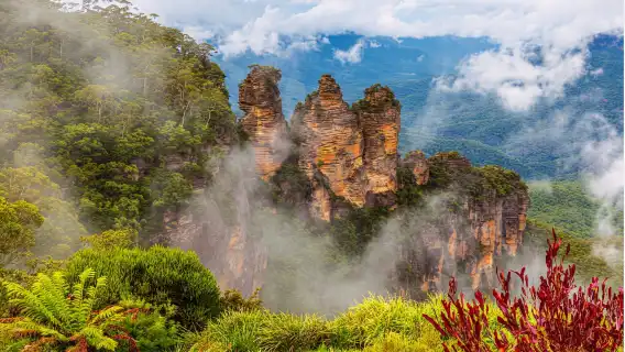 雪梨藍山國家公園+雪梨動物園一日遊【含3種纜車票/三姊妹峰】