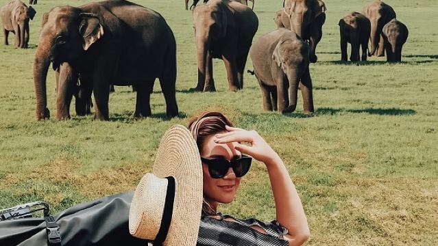 สัตว์ป่าในอุทยานแห่งชาติ Minneriya และช้างซาฟารีจากสิกิริยา