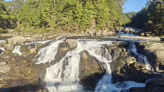 Escapada a la playa del Monte Maunganui: Excursión panorámica de un día desde Auckland