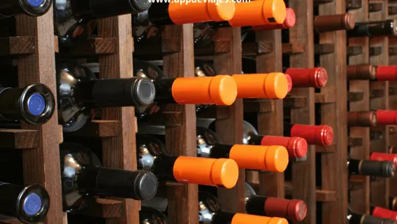 Barcellona: tour privato Montserrat, vini e Sitges