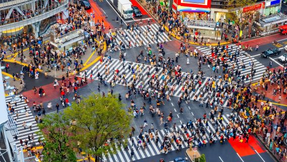 Tokio: Halbtägige Nachmittags-Gruppenreise