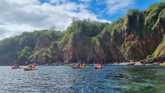 Torquay: Động vật hoang dã, Bushcraft và Safari chèo thuyền kayak trong hang động biển