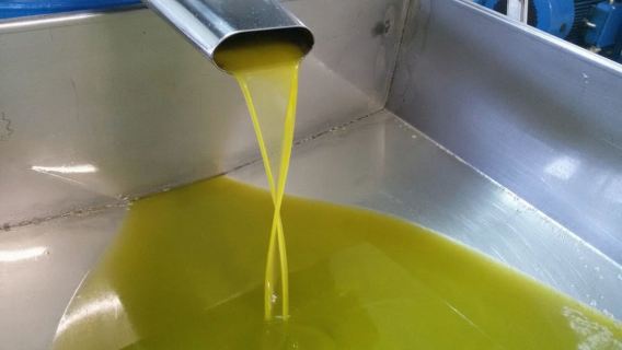 Sorrento: Tur Mencicipi Lemon, Minyak Zaitun, dan Anggur dengan Makan Siang