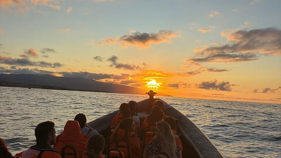 聖米格爾島：日落遊船之旅（含游泳和鳳梨小吃）