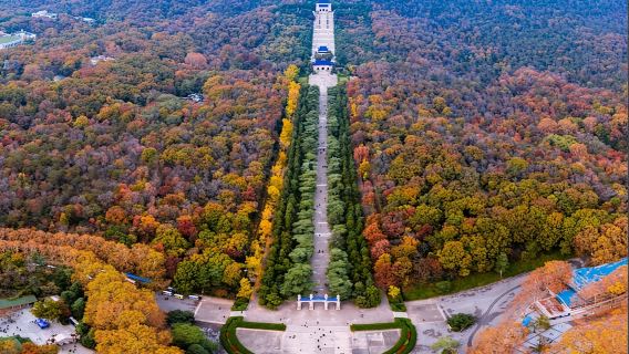 南京梧桐大道+中山陵景區+夫子廟：歷史與自然探尋之旅