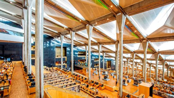 開羅—亞歷山大｜一日遊：亞歷山大圖書館+龐培柱+地下墓