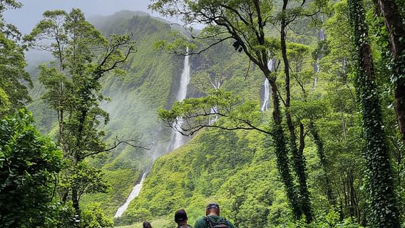 Full-Day Tour with Lunch Included - Green Wonder