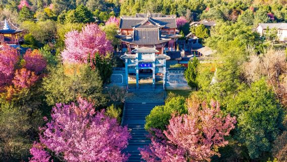 雲南省大理市ガイドツアー【大理の様々な観光スポットを巡る/個人に合わせた旅程/専門家による解説/外国語ツアーは3日前までにご予約ください】