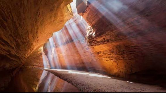 [Private Chartered Tour] Yan'an Ganquan Canyon 1-day Private Charter Tour