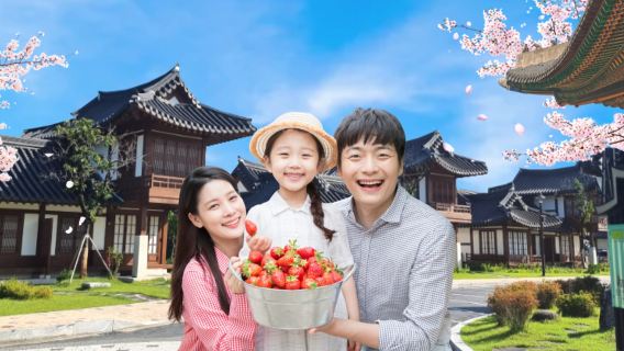 江陵春季賞櫻 or 採草莓韓屋體驗團
