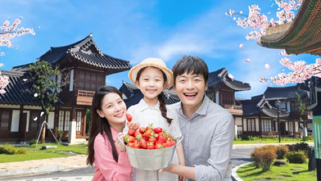 Melihat Bunga Sakura Musim Bunga Gangneung atau Jelajah Pengalaman Memetik Strawberi Hanok
