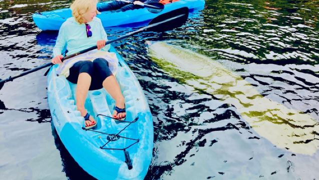 Dolphin, Manatee and SeaTurtle SUP Adventure Tour of St Augustine