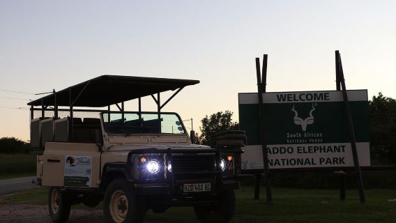 Tour giornaliero con safari nel Parco nazionale degli Elefanti di Addo con pranzo incluso