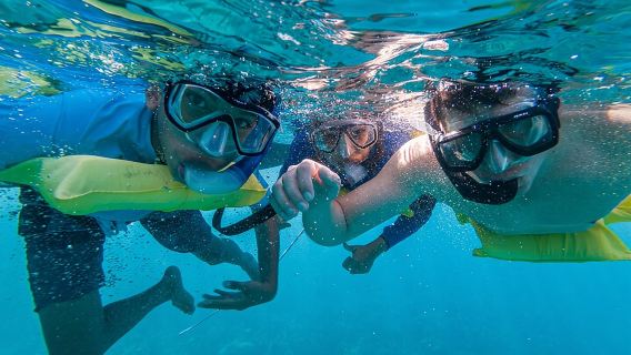 Boat and Snorkeling in West End (Blue Channel, The Aquarium, Turtle Crossing)