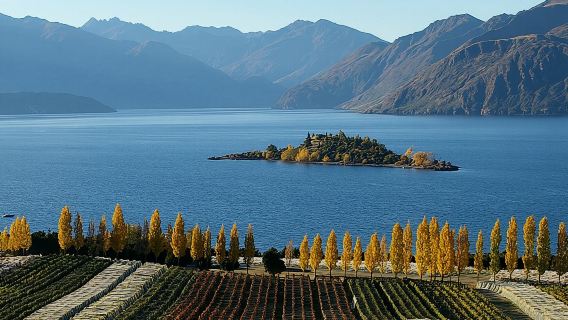 Wine Tour with Wine Tasting from Wanaka