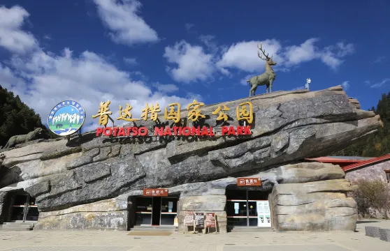 西雙版納Trip Moments【一對一跟拍街拍航拍抓拍婚拍/多語言翻譯攝影師/攝影攝像】