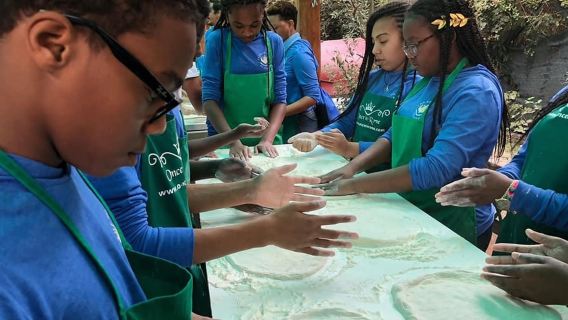 PASTA & PIZZA Making, Tiramisu, & Limoncello Tasting Cooking Class in Rome