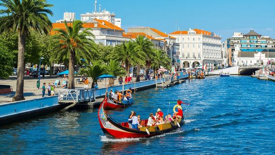 Aveiro and Costa Nova Half Day Tour from Porto with Boat Ride