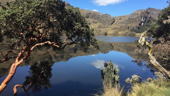 Cajas svelata: una fuga di mezza giornata da Cuenca