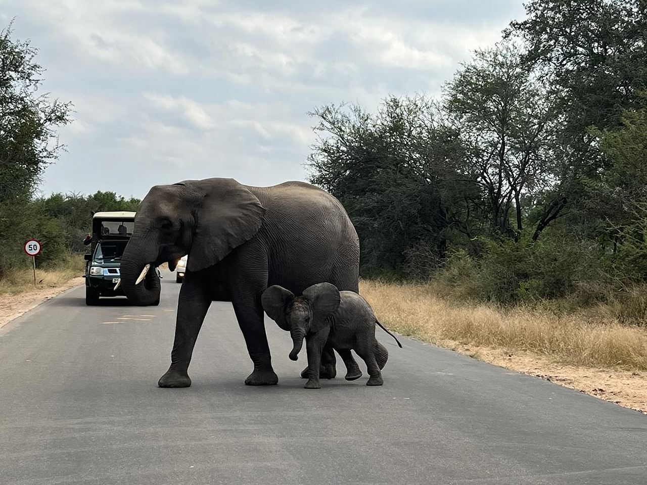 7 hari pengembaraan Afrika Selatan dan Eswatini