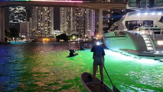 Miami: City Lights SUP or Kayak Night Tour
