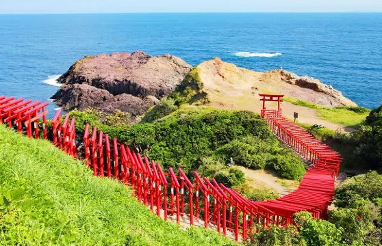 日本北九州唐戶市場&角島大橋&元乃隅神社一日遊