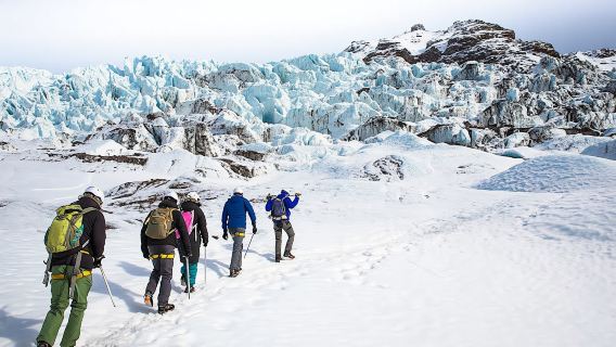 ReykjavikTours