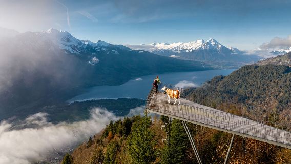 Perjalanan Sehari ke Interlaken, Swiss|Kereta Gantung Kulm Opsional yang Lebih Keras|Perjalanan pulang pergi multikota|Banyak waktu luang