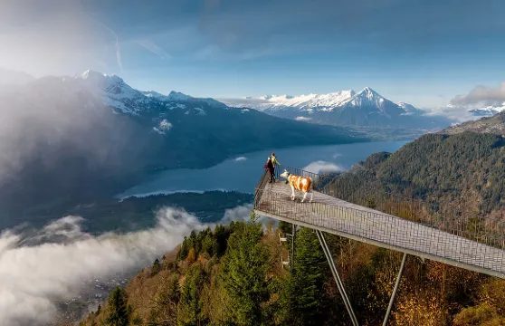 瑞士因特拉肯一日遊|可選哈德昆纜車|多城市來回|充足自由時間