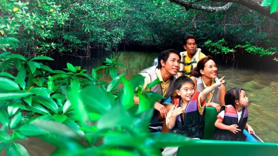 เกาะบินตัน ประเทศสิงคโปร์ (ทัวร์ป่าชายเลน + อาหารทะเล + ทัวร์ชมหิ่งห้อย) ท่องเที่ยว ทัวร์แบบเที่ยวด้วยตนเอง