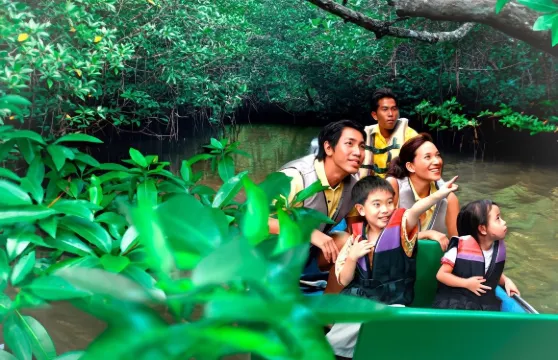 新加坡民丹島（紅樹林之旅+海鮮餐+螢火蟲之旅) 遊玩 自由行