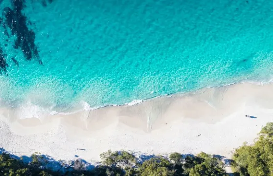 澳洲新南威爾士悉尼藍色海洋路&傑維斯灣一日遊【含遊船】