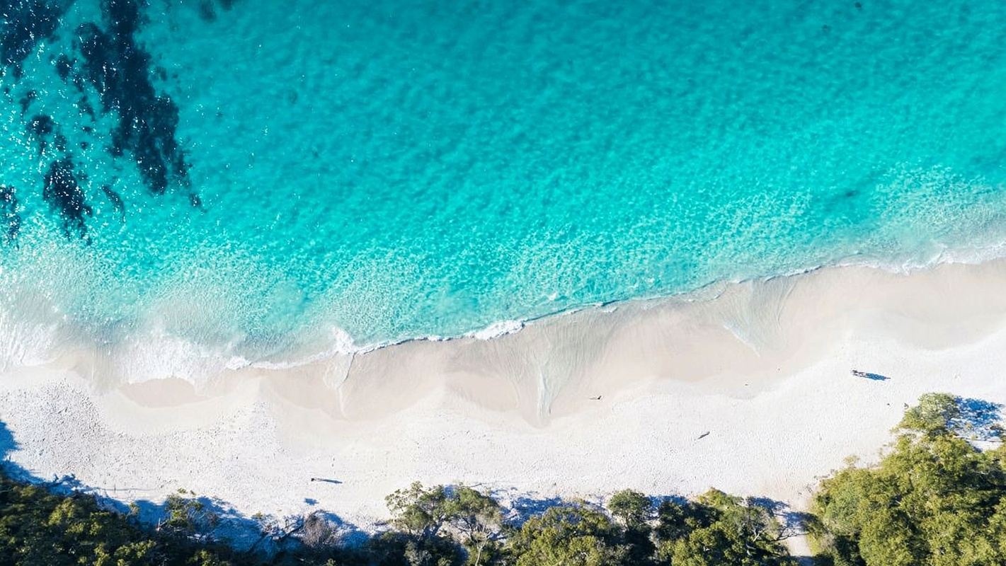 澳洲新南威爾士悉尼藍色海洋路&傑維斯灣一日遊【含遊船】