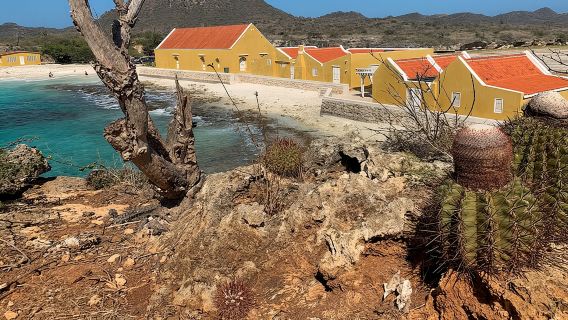 Tour tham quan Công viên Washington cùng Hướng dẫn viên địa phương tại Bonaire