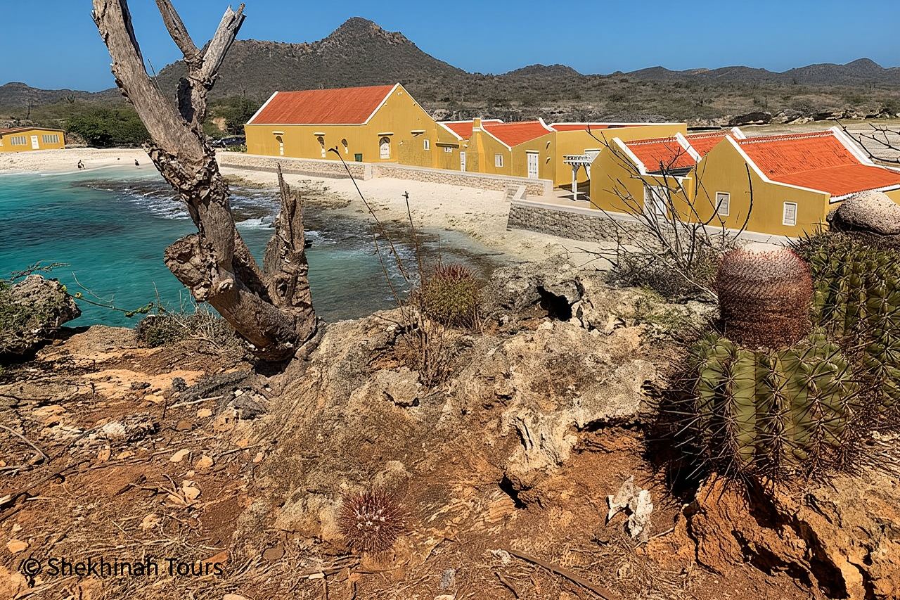 Washington Park Tour with Local Guide on Bonaire
